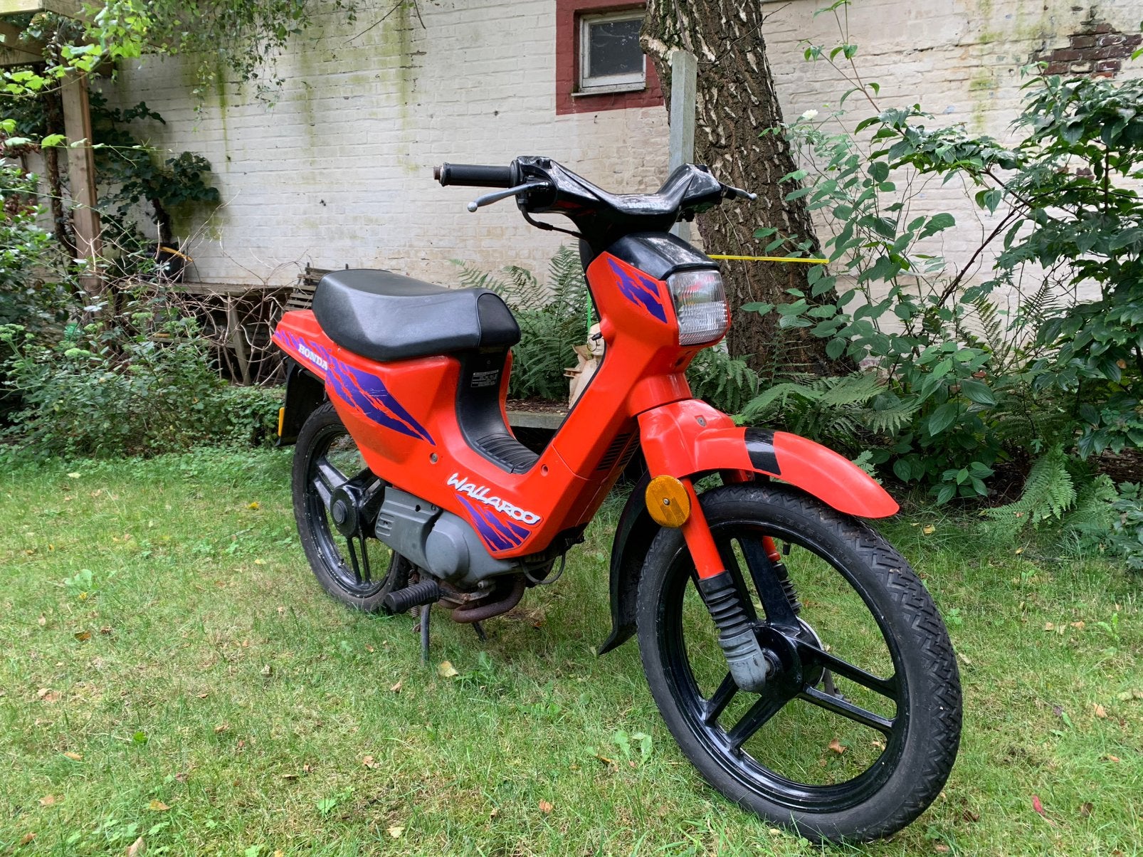 Honda Wallaroo A-klasse, Fietsen en Brommers, Brommers | Honda, Ophalen, Gebruikt, Klasse A (25 km/u)
