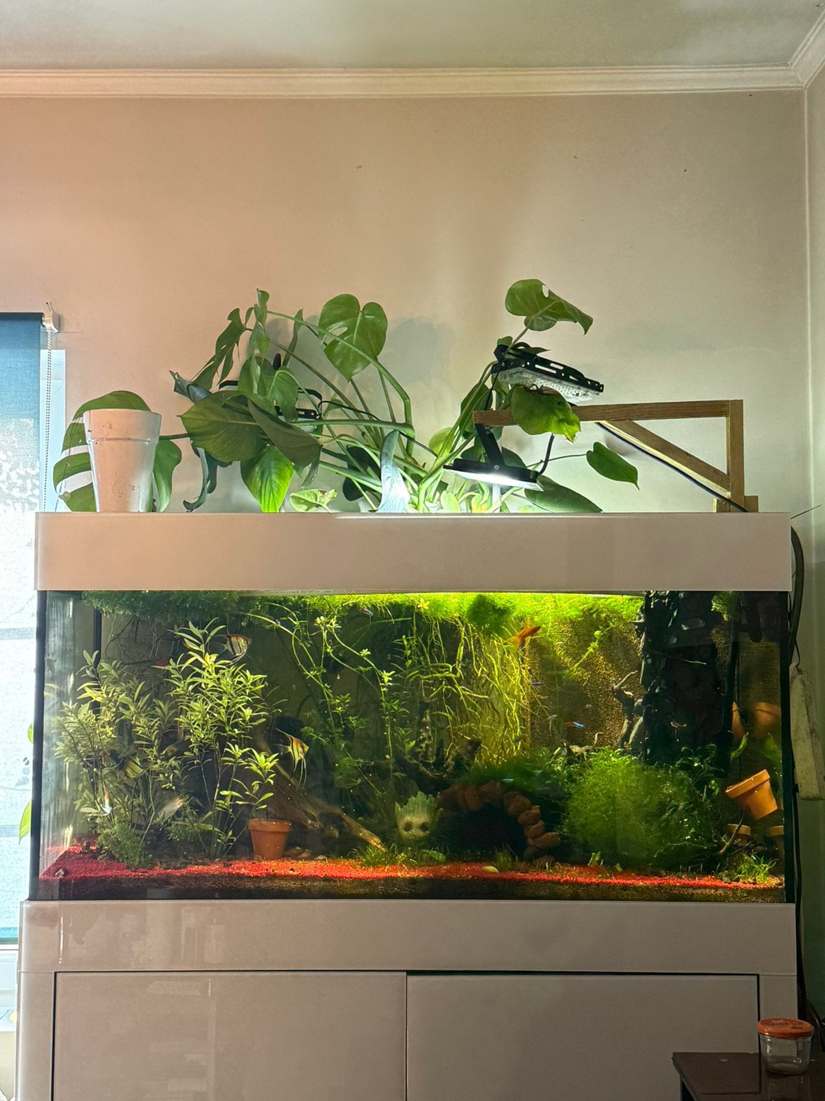 Aquarium 450L met sump 120L, maatwerk aluminium kast, Dieren en Toebehoren, Ophalen of Verzenden, Zo goed als nieuw, Decoratie