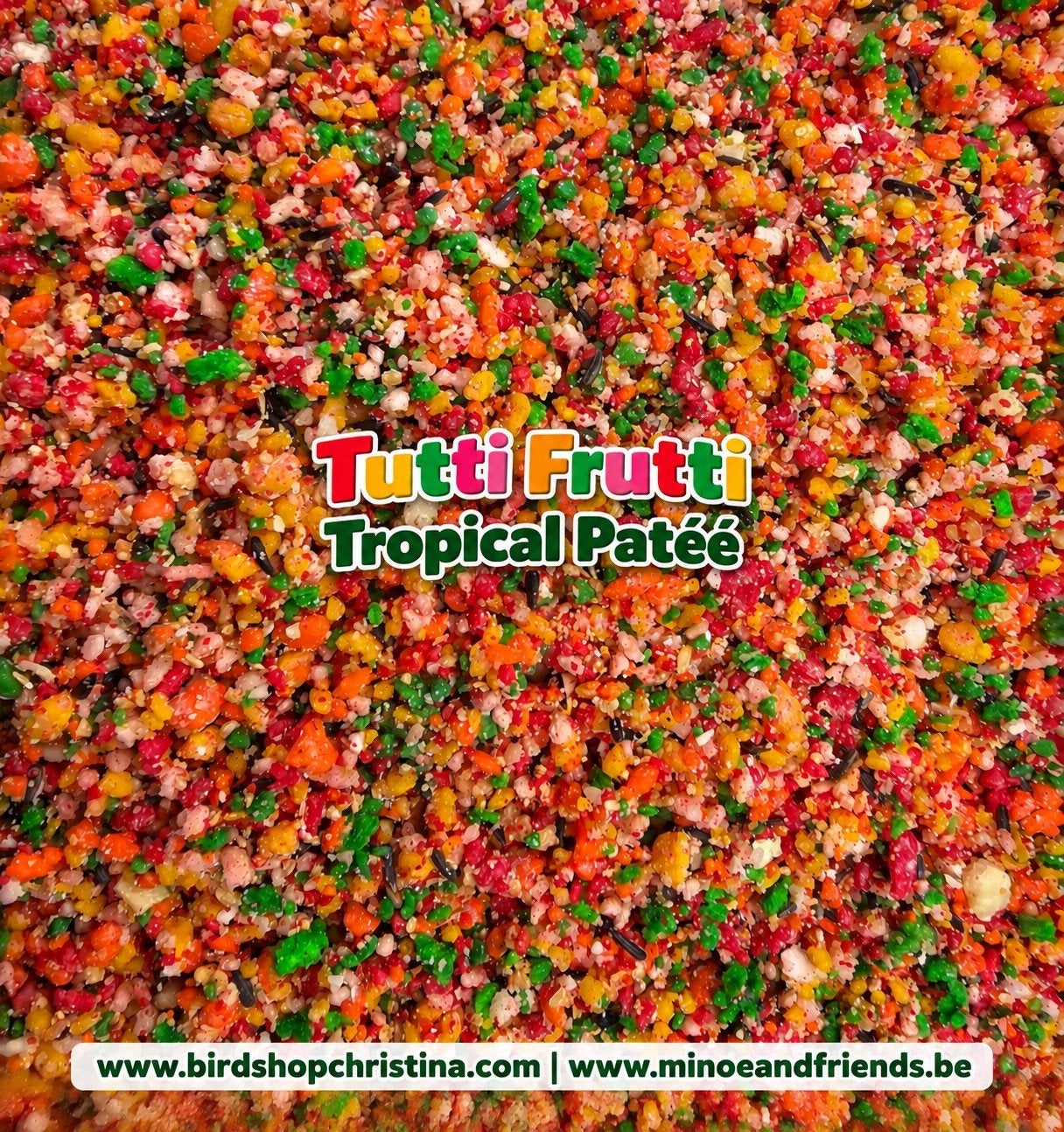 Pâté aux fruits tropicaux Tutti Frutti 1kg - Pineta Zootecni, Enlèvement, Neuf, Manger et Boire