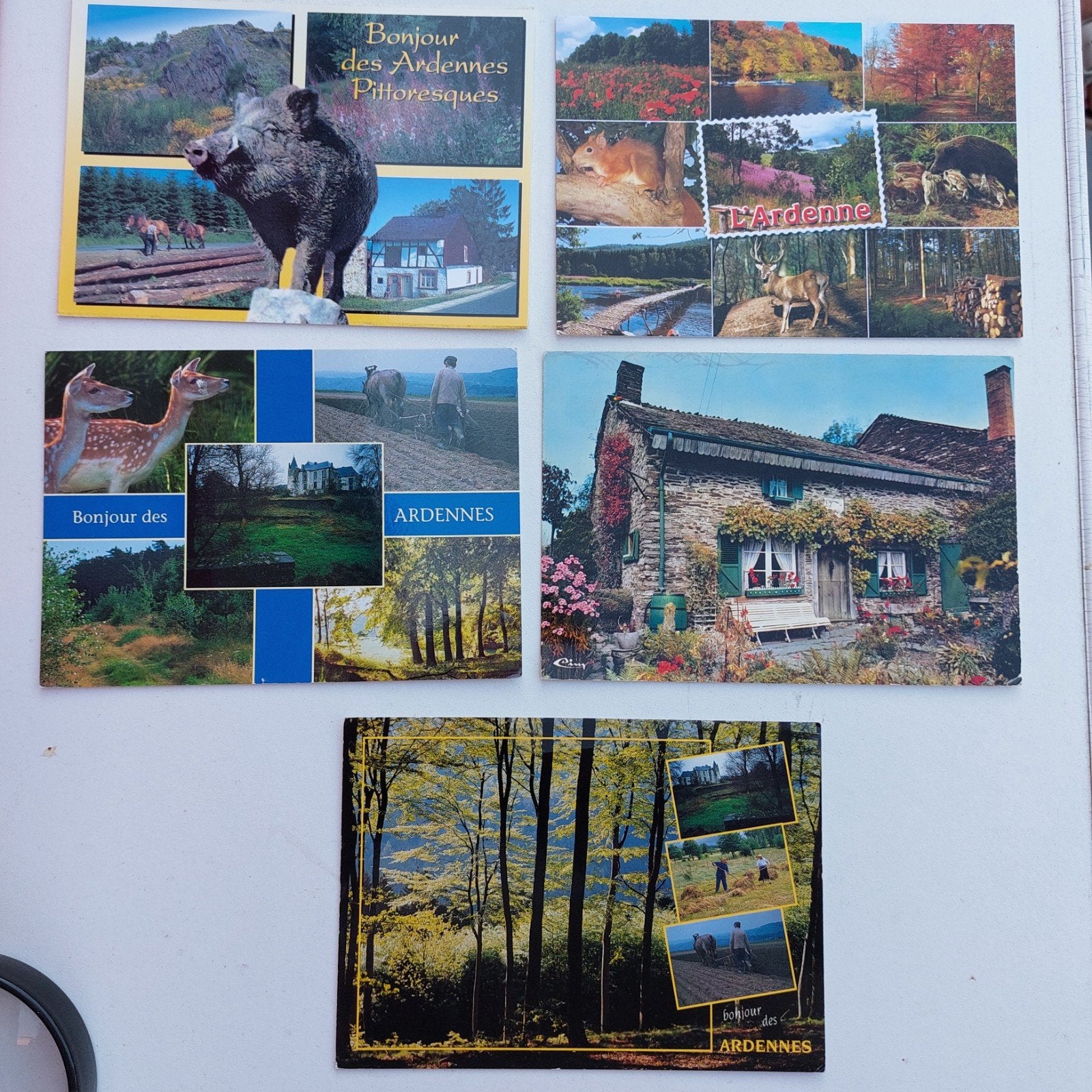 Lot van 5 gelopen postkaarten: groeten uit de Ardennen, Ophalen of Verzenden