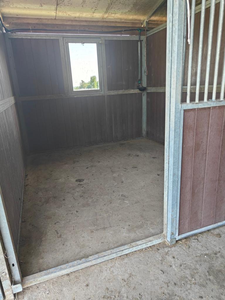 Stalling, loopstal met paddock en kuddeplekjes, Stalling, 4 paarden of pony's of meer