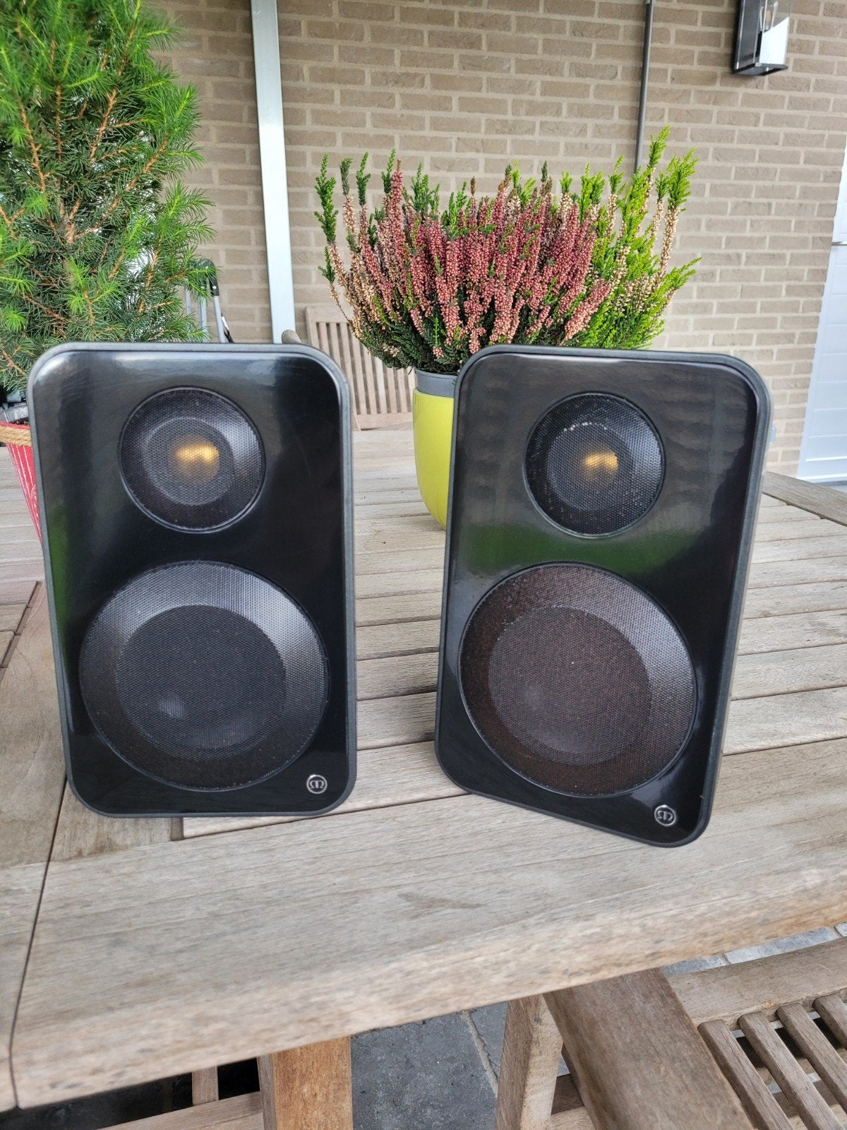 Monitor vector 10 luidsprekers, 2 stuks., Audio, Tv en Foto, Ophalen of Verzenden, Gebruikt, Center speaker