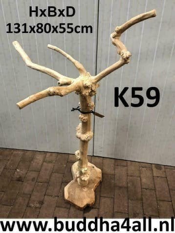 Ik zoek javaboom, Ophalen of Verzenden
