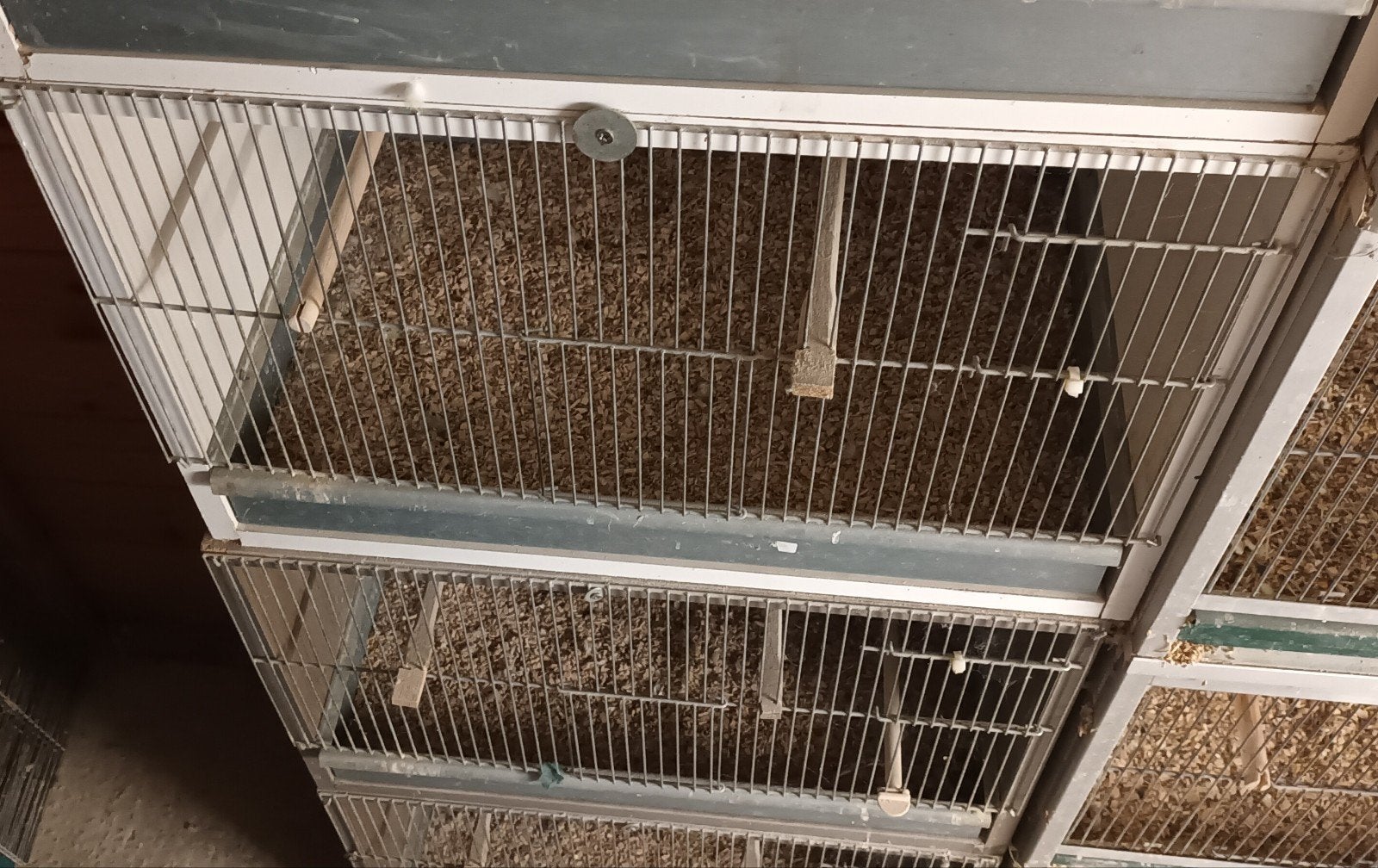 4 africhtkooien te koop, met ijzeren schuif. Goede staat., Dieren en Toebehoren, Ophalen, Zo goed als nieuw, Hout, Vogelkooi