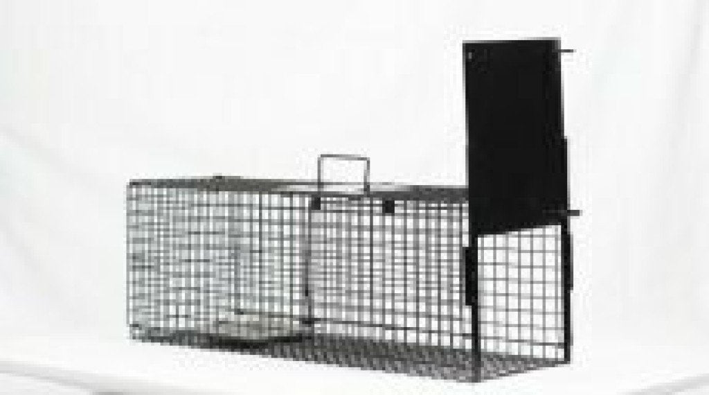 Ongedierte bestrijdingsmiddel: Inloopval 80x25x30cm, Tuin en Terras, Bestrijdingsmiddelen, Ophalen, Nieuw, Ongediertebestrijding