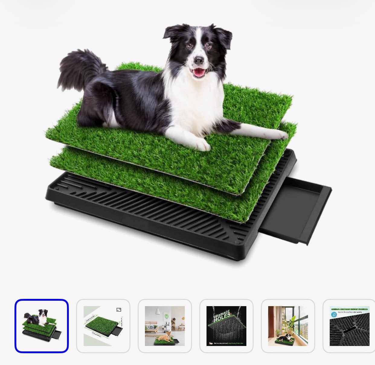 Toilette pour chien avec herbe supplémentaire, Enlèvement