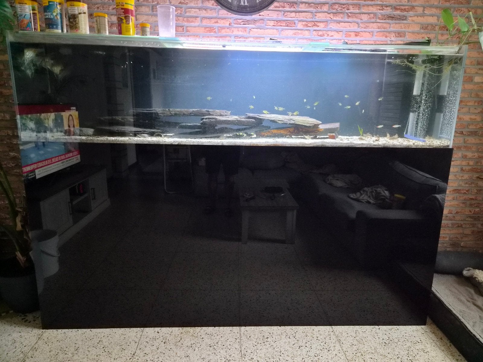 Aquarium, Animaux & Accessoires, Enlèvement