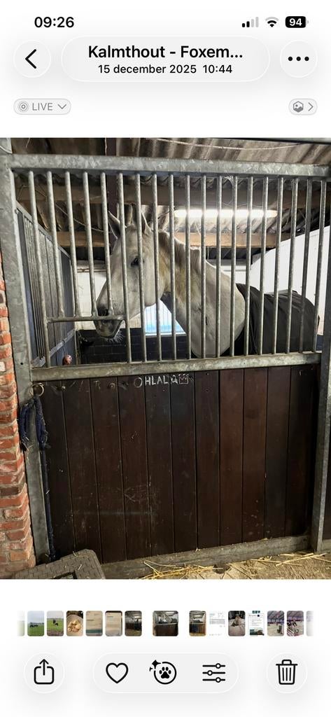 GEZOCHT voorwand stal roosen, Dieren en Toebehoren