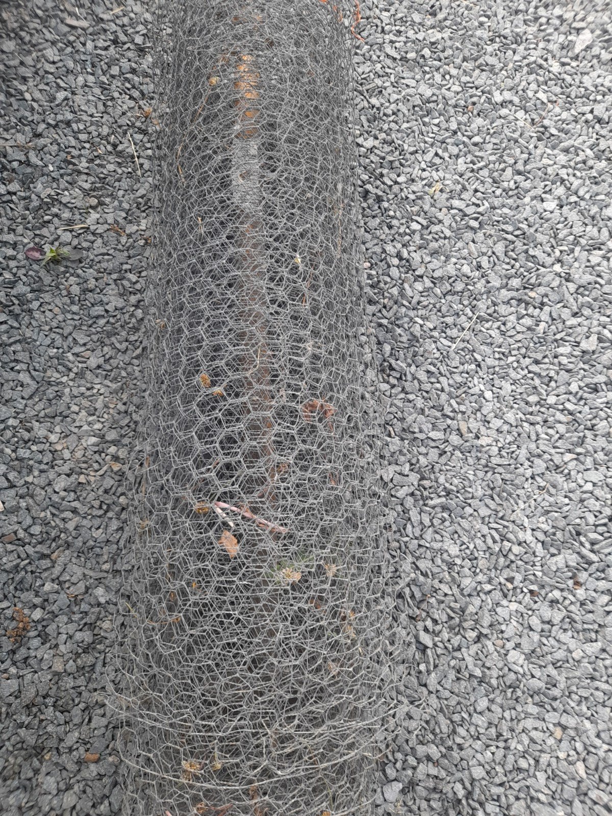 Treillis pour poule, Jardin & Terrasse, Enlèvement, Treillis