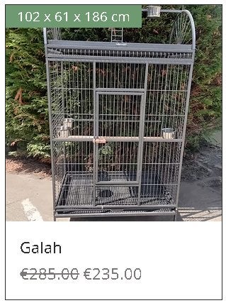 JOURNÉE D'ACHAT DE CAGES À PERROQUETS, Enlèvement