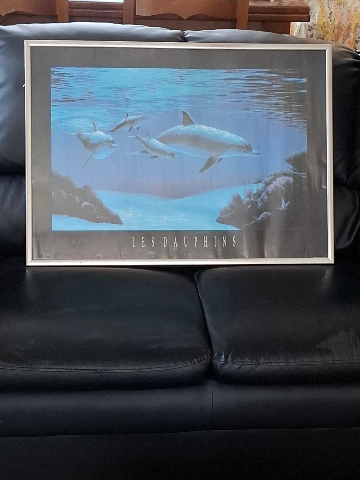 Cadre pour affiche dauphins, Enlèvement