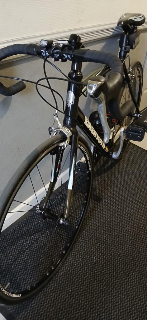 BIANCHI KOERSFIETS, Enlèvement