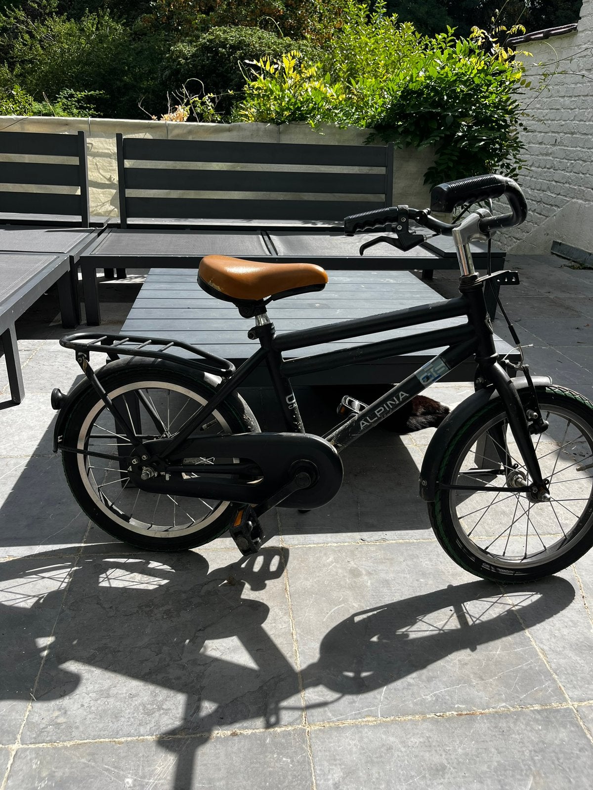 Kinderfiets 16inch Alpina cargo, Ophalen, Terugtraprem, Gebruikt, Handrem