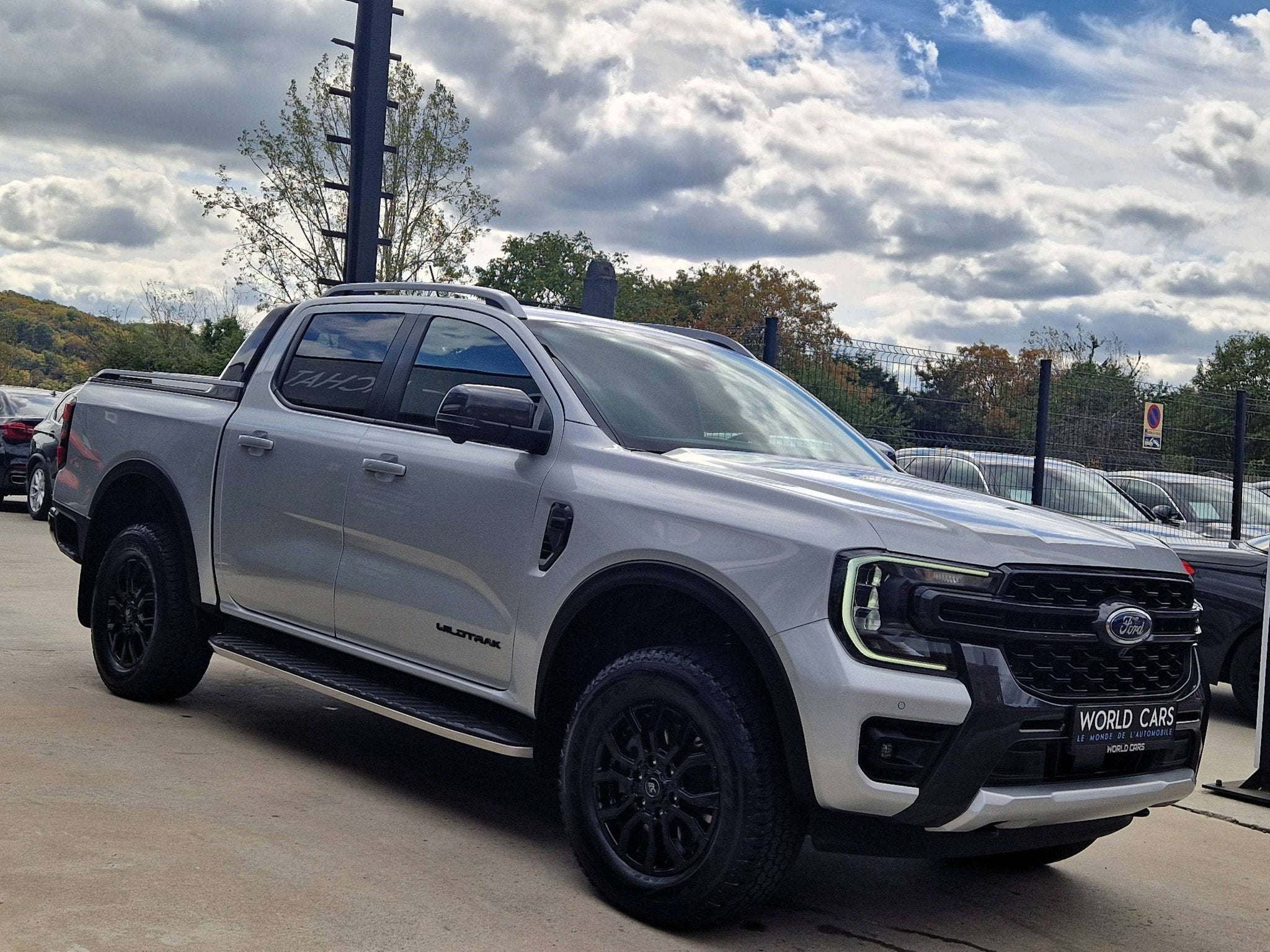 Ford Ranger 2.0 EcoBlue e-4WD Wildtrak - TVAC/BTW*IN - ACC -, Cuir, Argent ou Gris, Achat, Entreprise