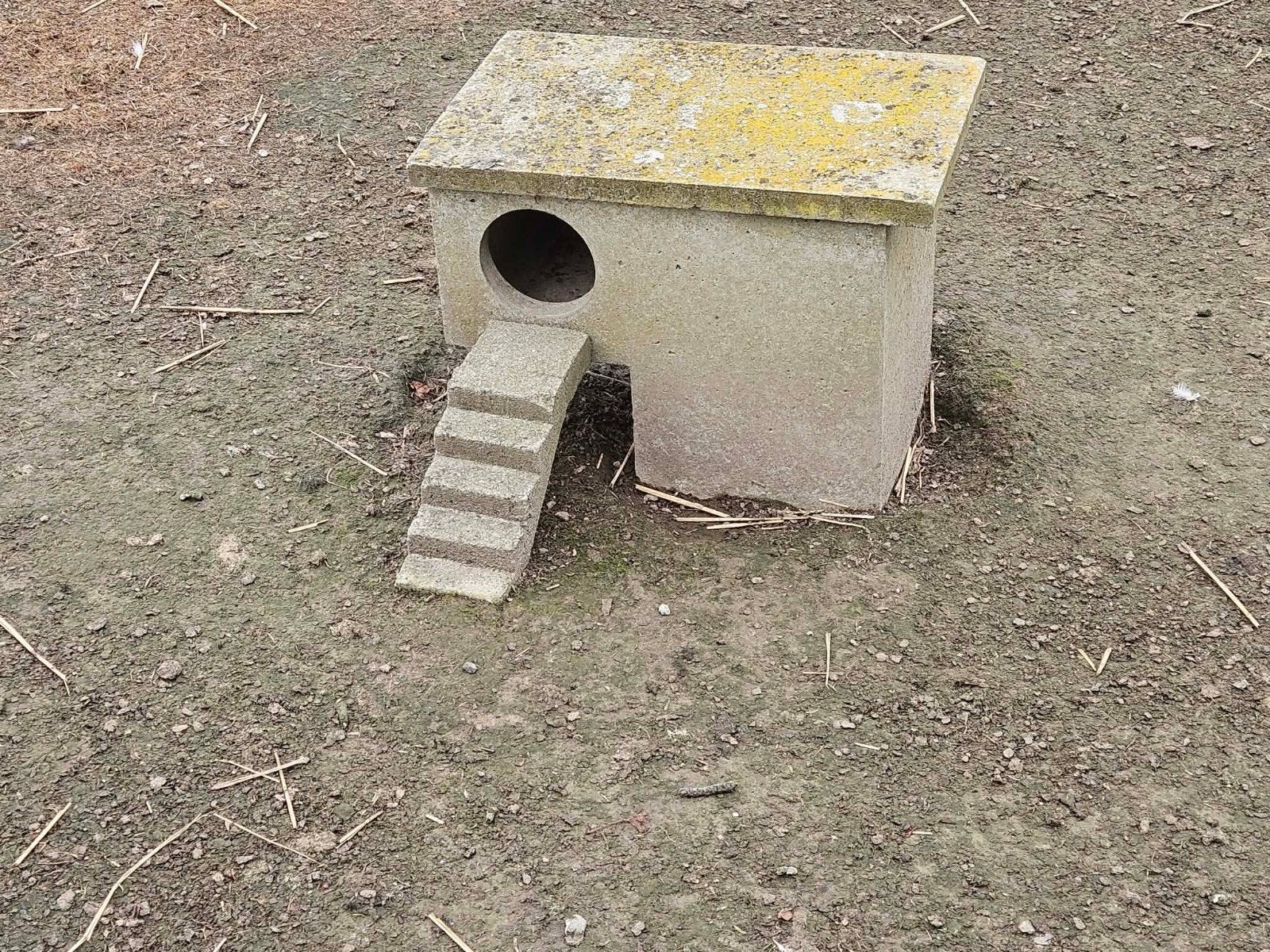 Broedblokken, Dieren en Toebehoren, Pluimvee