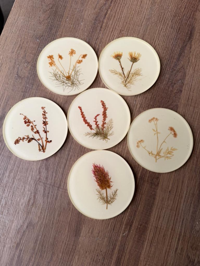 6 onderzetters met gedroogde bloemen, Antiek en Kunst, Ophalen