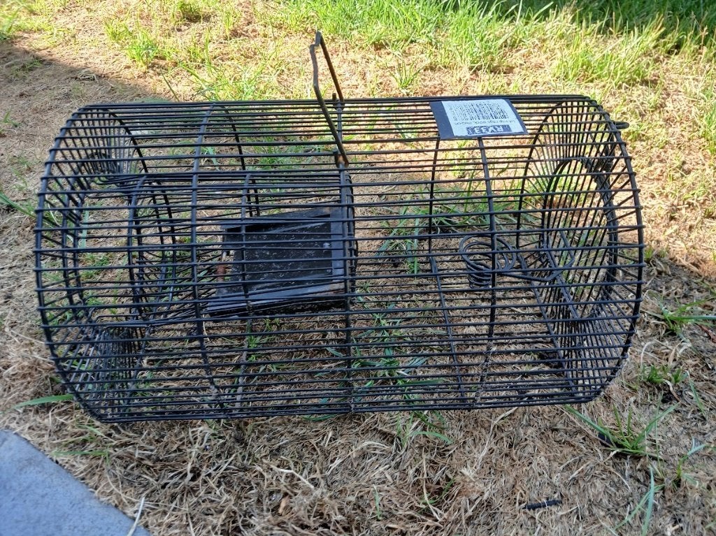 GROTE RATTENVAL, Tuin en Terras, Bestrijdingsmiddelen, Ophalen of Verzenden, Zo goed als nieuw, Ongediertebestrijding
