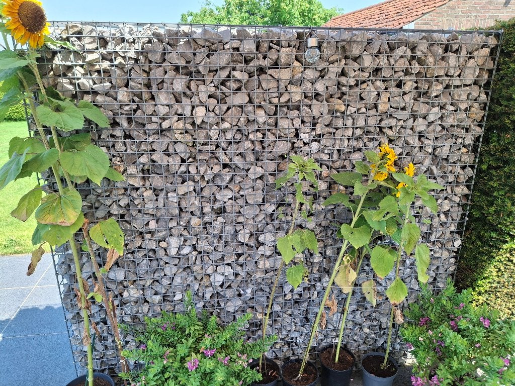 Gabion - galvanisé - neuf, Enlèvement, Neuf