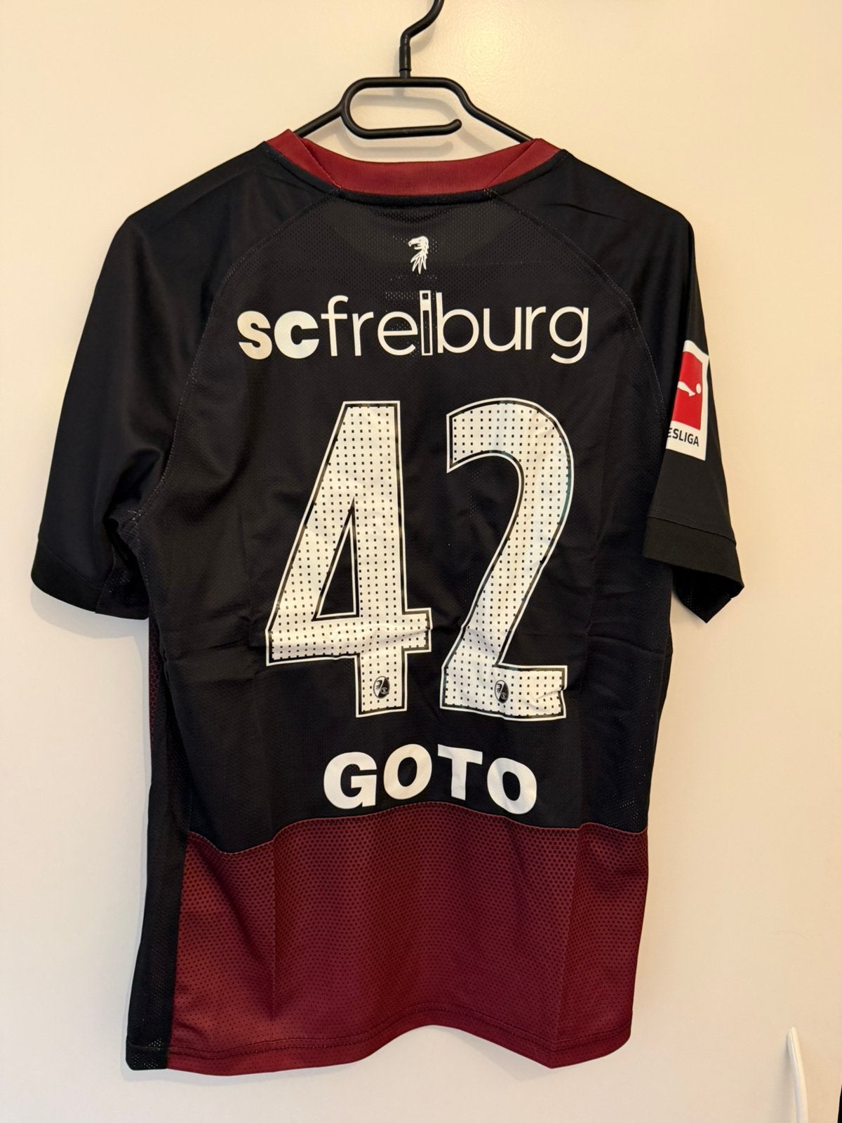Goto Freiburg S
