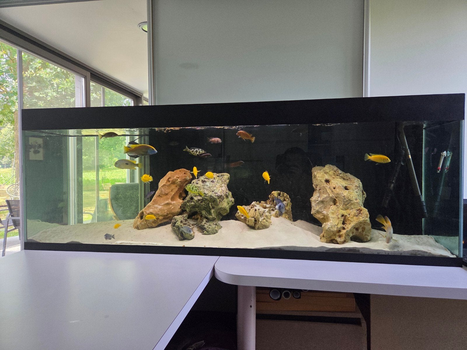 Aquarium 2m 600 liter met externe tetra filter, Ophalen of Verzenden