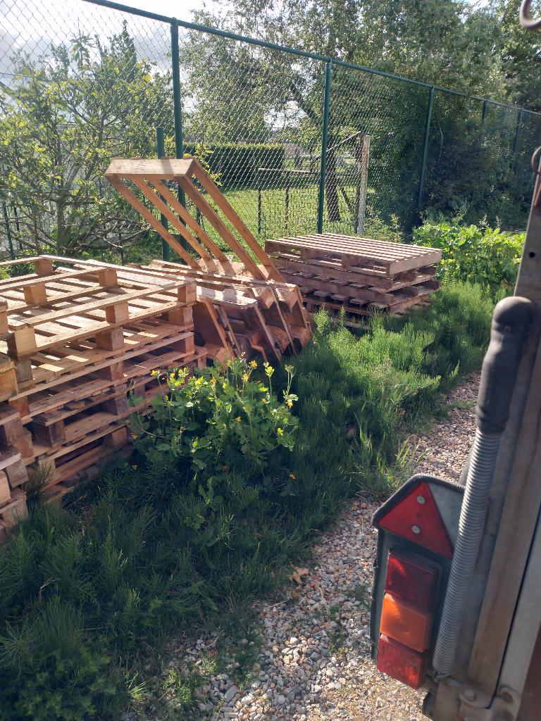 palletten GRATIS, Doe-het-zelf en Bouw, Ophalen, Gebruikt, Overige houtsoorten, 300 cm of meer