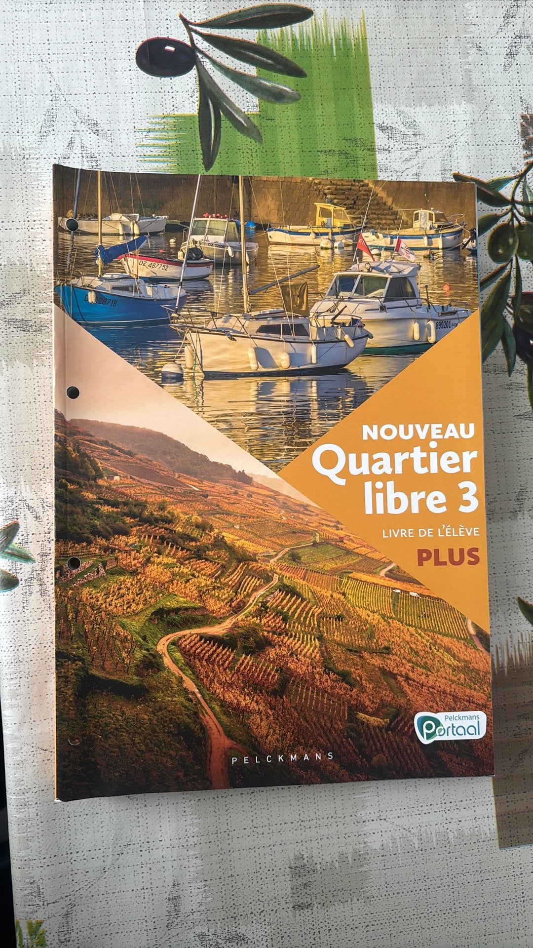 Nouveau Quartier libre 3 Plus Livre de l'élève (editie 2024), Boeken, Ophalen of Verzenden, Nederlands