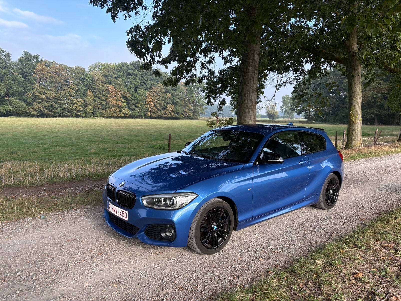 Bmw 118i, Achat, Boîte manuelle, Alcantara, 2 portes