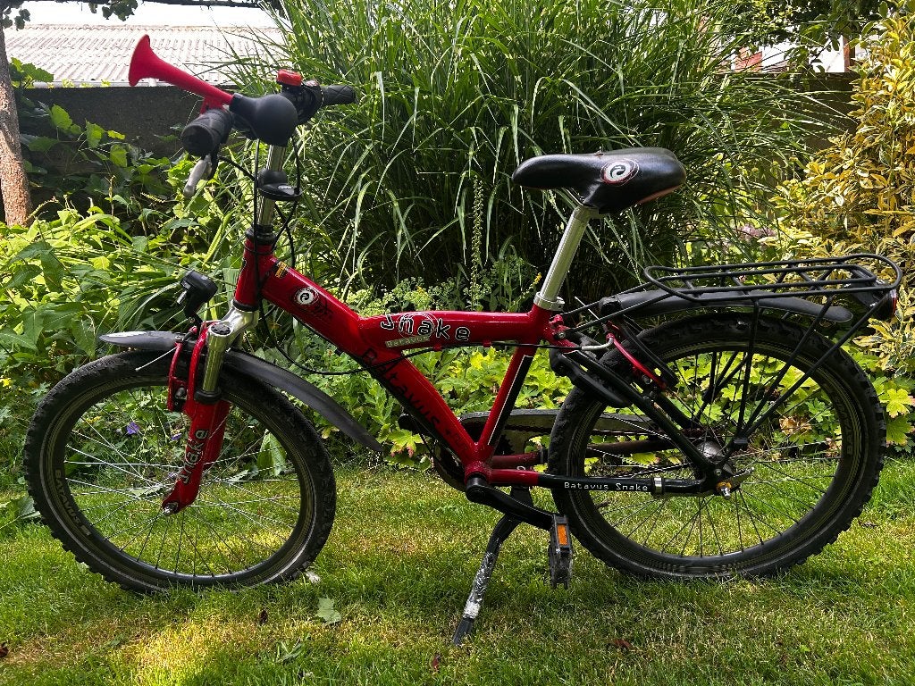 Batavus snake 20 inch, Enlèvement, Utilisé, 20 pouces, BATAVUS
