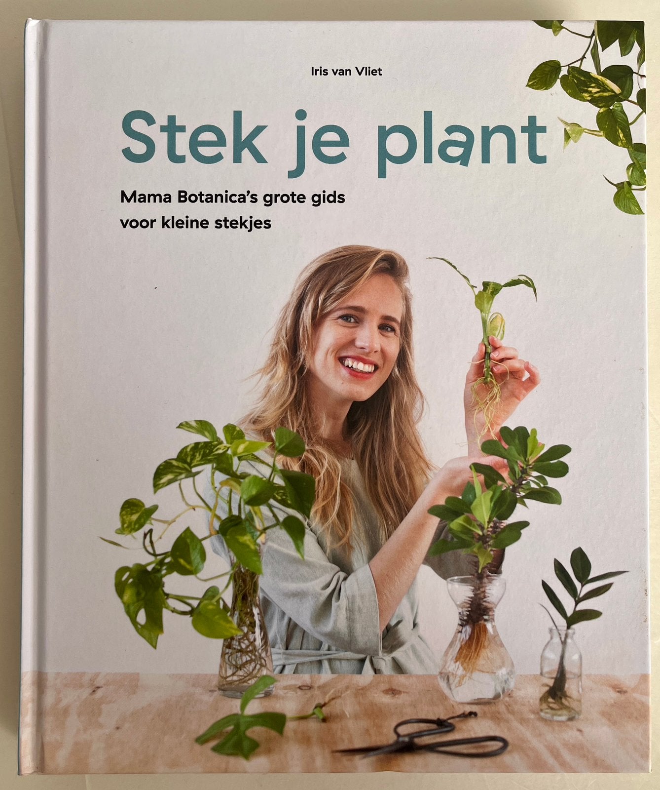 Iris van Vliet - Stek Je Plant, Boeken, Ophalen, Iris van Vliet