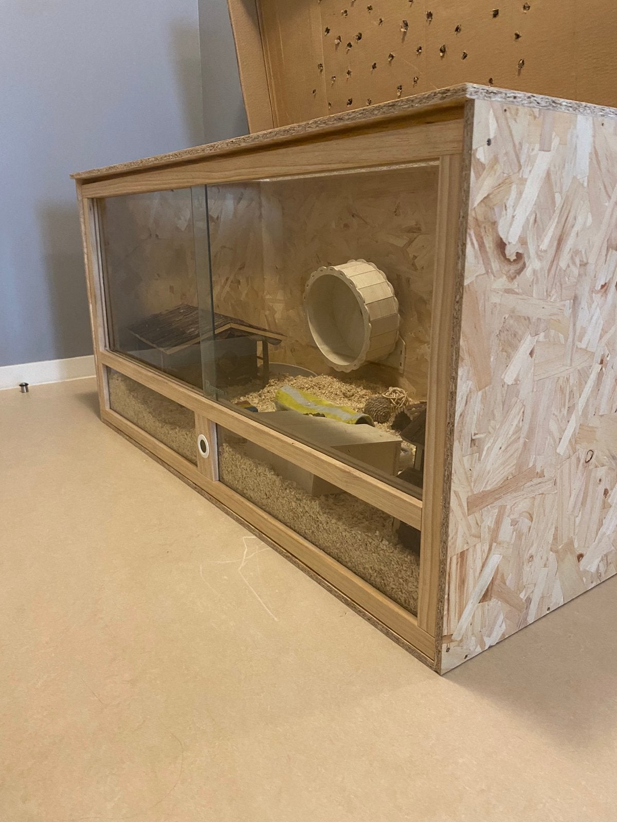 Hamster te koop - prijs is bespreekbaar!!!, Ophalen, Gebruikt, Kooi, Hamster