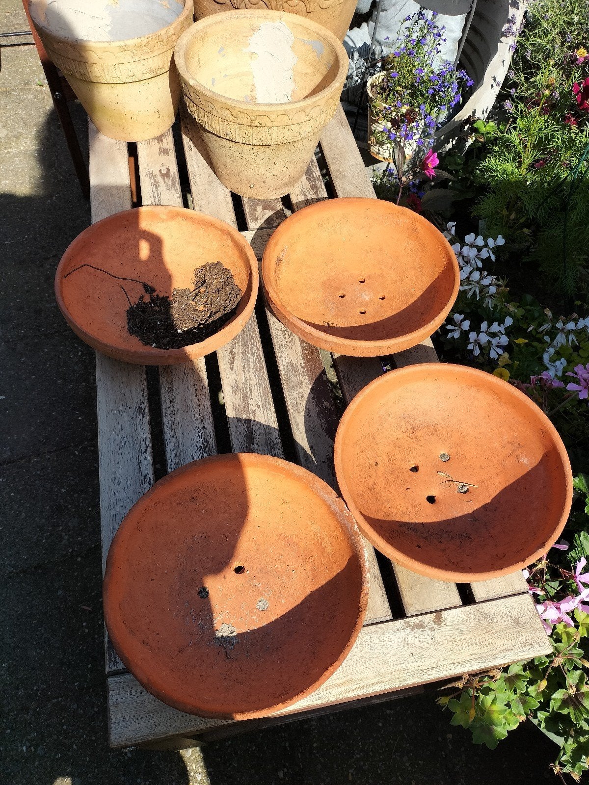 Bonsai terracotta schalen, Ophalen