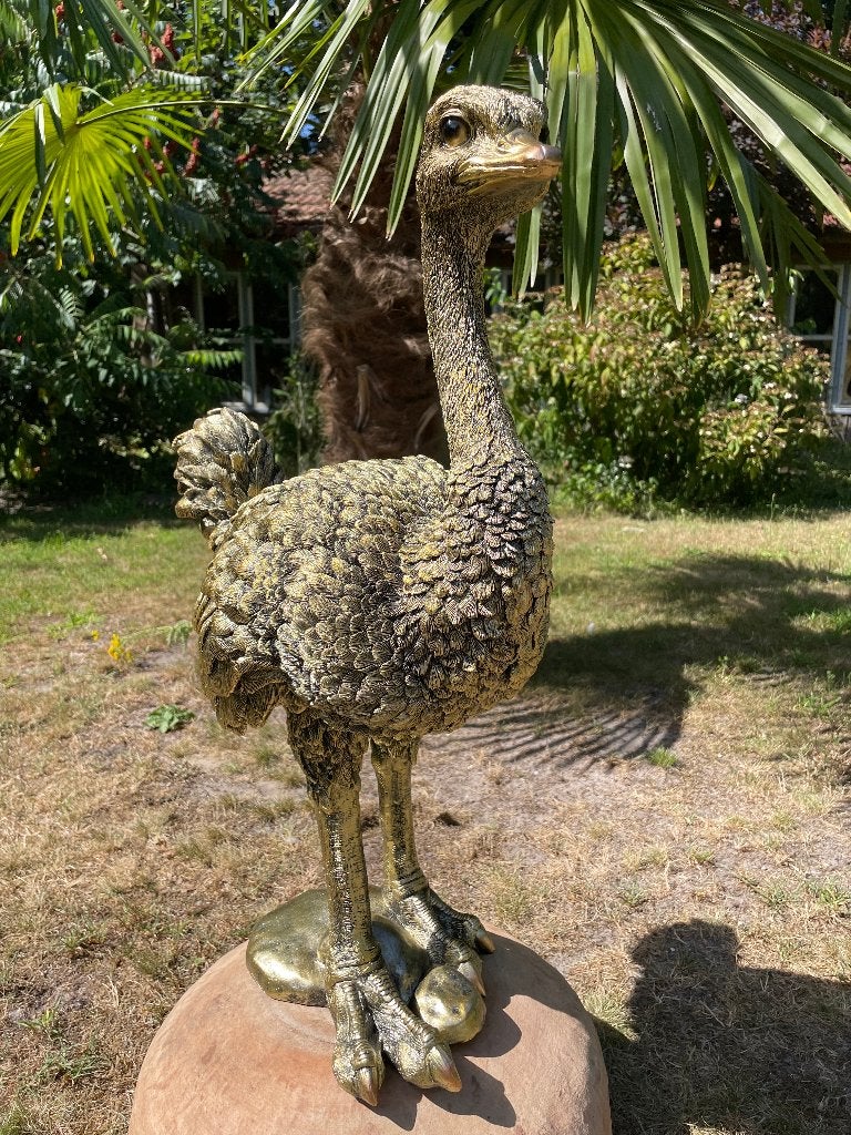 Image Autruche, pelouse, jardin, étang, zoo 70cm, Enlèvement, Neuf, Synthétique, Animal