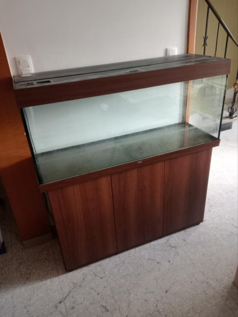 Juwel Rio 240 liter aquarium vissen goeie staat, Dieren en Toebehoren, Vissen | Aquaria en Toebehoren, Ophalen, Juwel