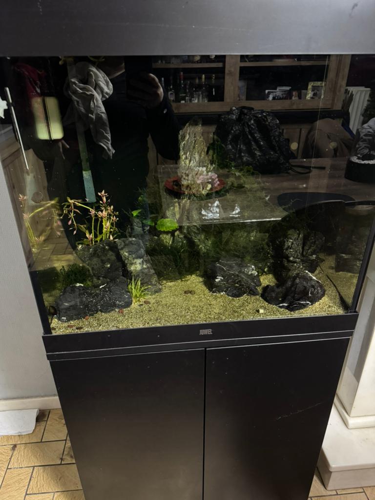Aquarium lido 200, Enlèvement, Couvercle inclus, Comme neuf, Juwel