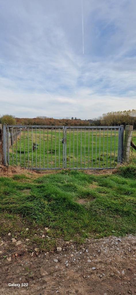 Weide te huur regio Oudenaarde, Dieren en Toebehoren