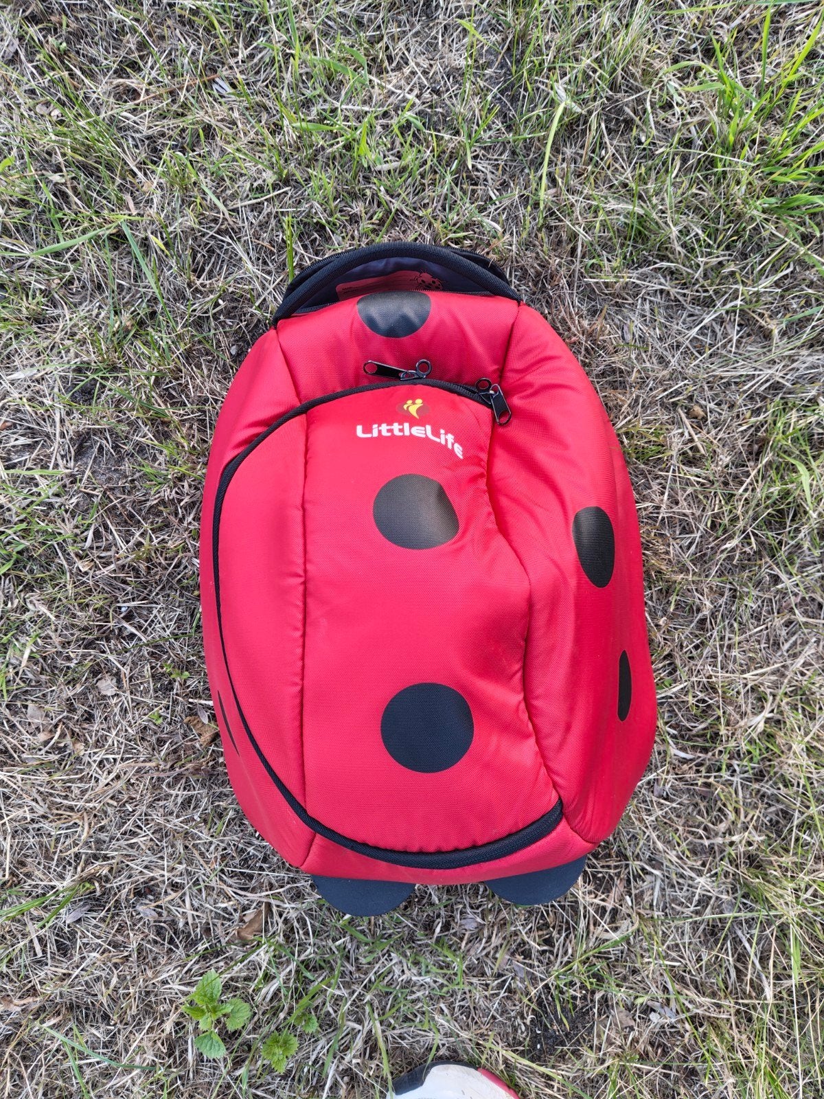 trolley, Motos, Accessoires | Valises & Sacs, Enlèvement