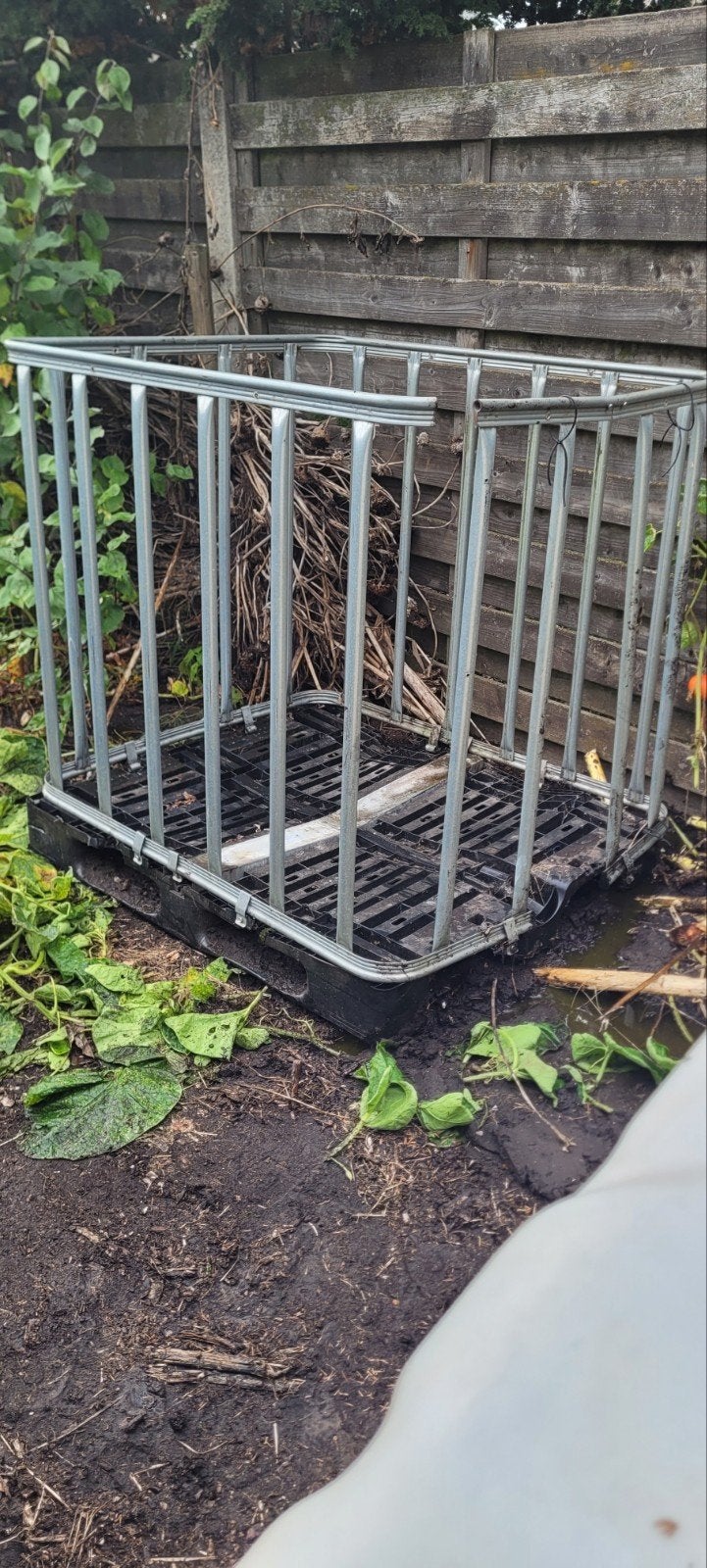 Ibc vat, Tuin en Terras, Ophalen, Gebruikt, Kunststof