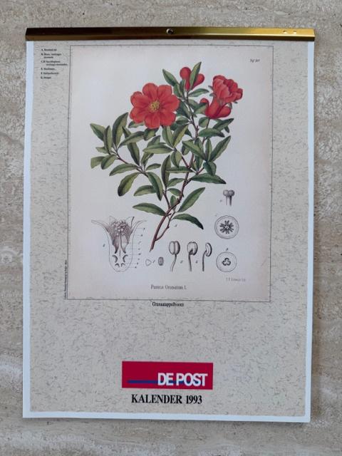 Nieuwe kalender 1993 "DE POST" (nr5002), Ophalen of Verzenden, Overige typen