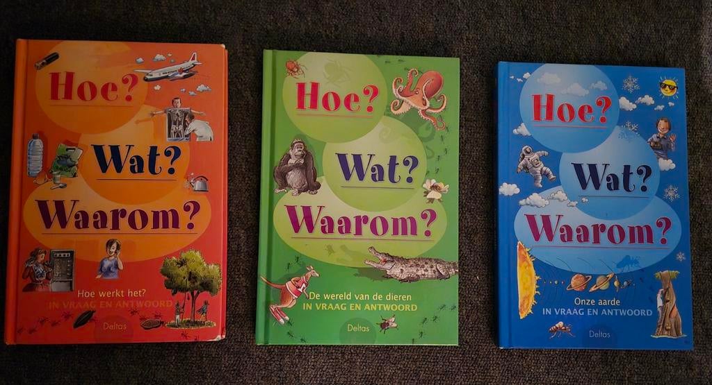 Hoe? Wat? Waarom?, Enlèvement, K. Smets