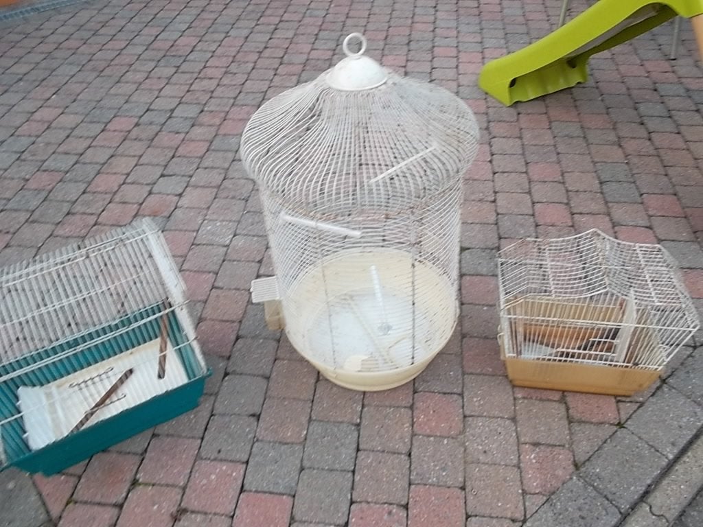 vogelkooien, Ophalen