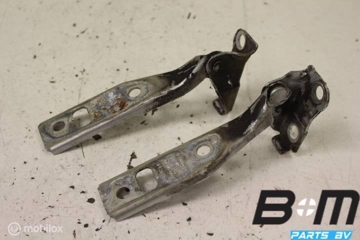 Set motorkapscharnieren VW Golf 4 5drs LA7W, Utilisé
