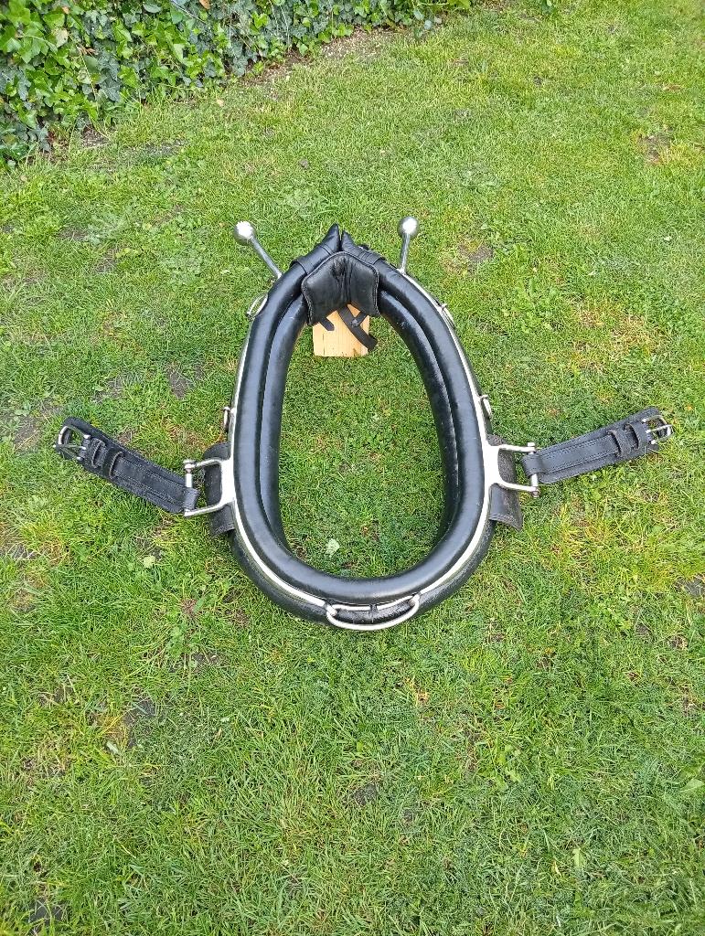 Collier cheval, Enlèvement