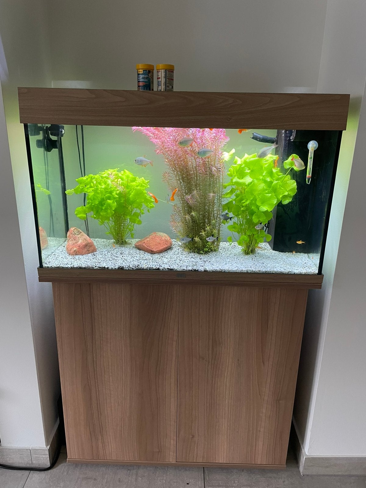 Juwel zoetwater aquarium 150L, Ophalen, Zo goed als nieuw, Leeg aquarium, Inclusief toebehoren