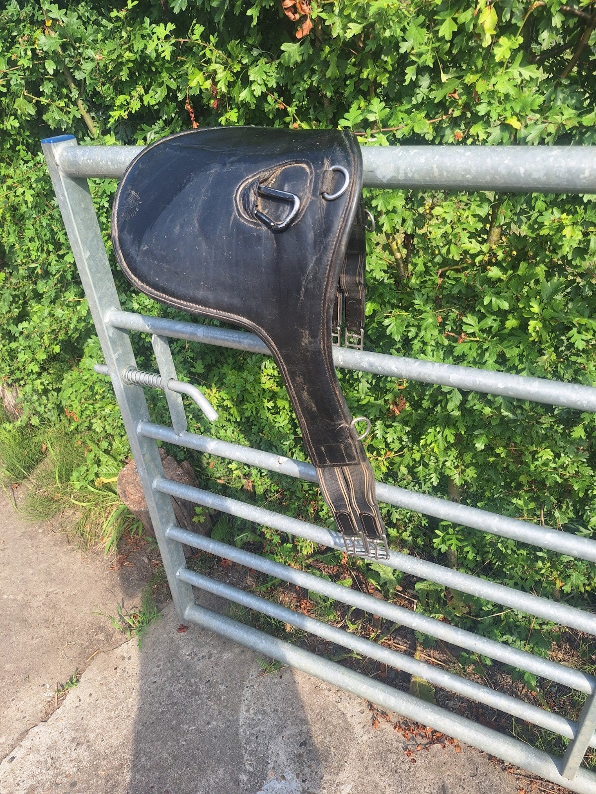 Springsingel - 120cm
Kleur zwart
Merk Knight rider
Goede sta, Dieren en Toebehoren, Ophalen of Verzenden, Zwart