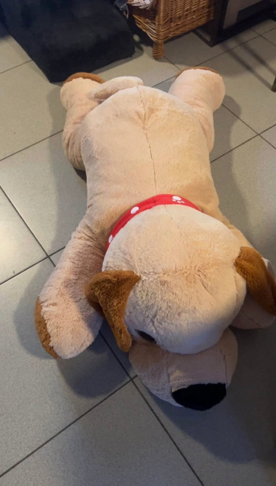 grote knuffel hond, Ophalen of Verzenden