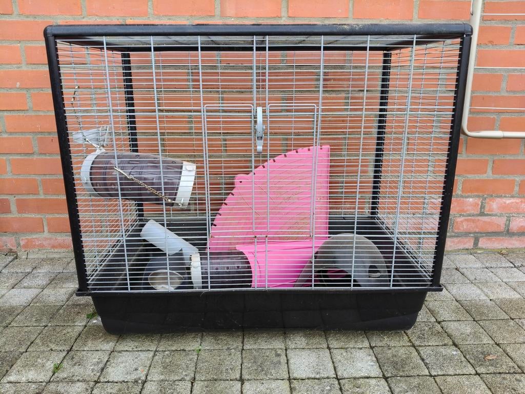 Cage pour rongeur, Animaux & Accessoires, Enlèvement, Cage