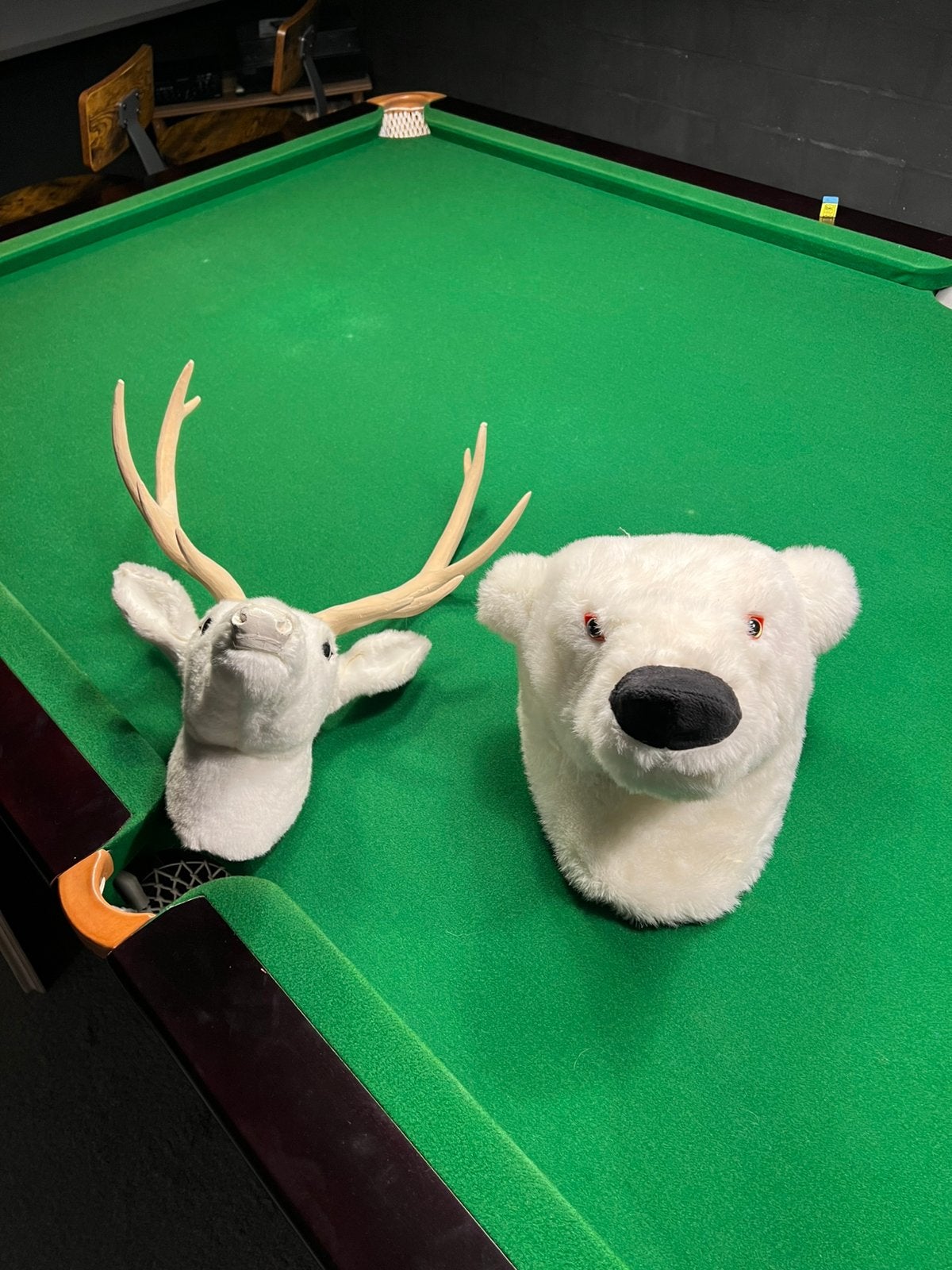 2 decoratie dierenkoppen, Ophalen, Zo goed als nieuw, Beige