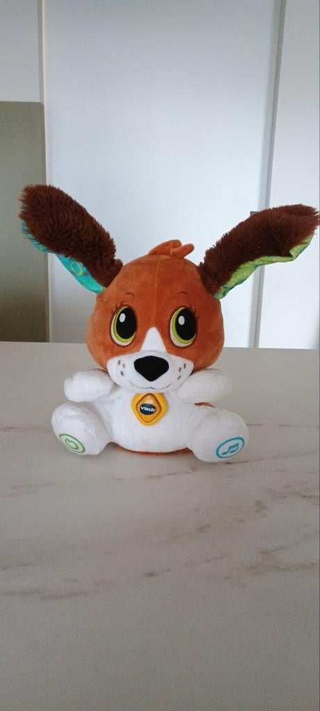 VTech puppy - Interactief hondje, Ophalen, Hond
