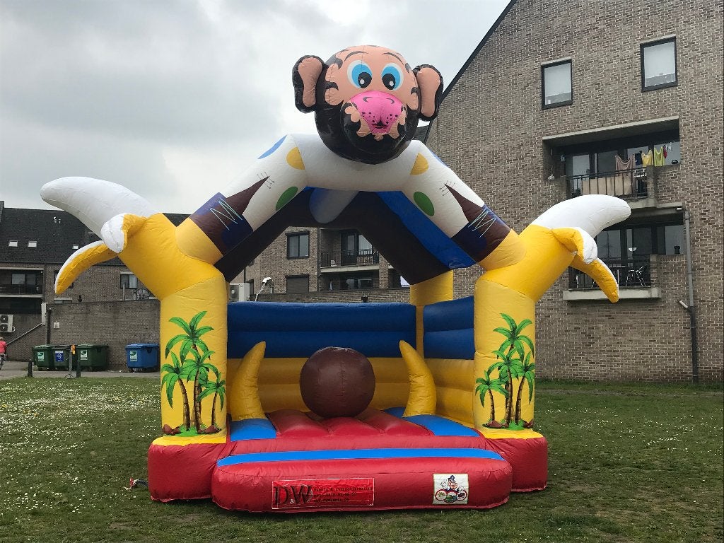 Springkasteel Aap nu actie 2 dagen prijs 1 dag!!!, Enlèvement