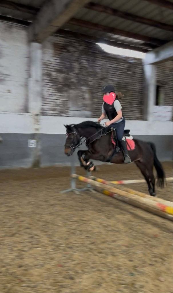 B-springpony merrie – inclusief alle toebehoren, Poney B (1.17 m à 1.27 m), B, 11 ans ou plus, Vacciné